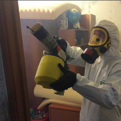 Уничтожение клопов в квартире. Озерки
